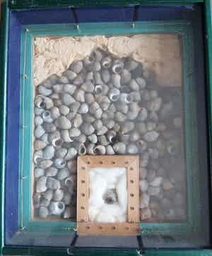 Wijnand van Lieshout - zonder titel verkocht voor € 85!