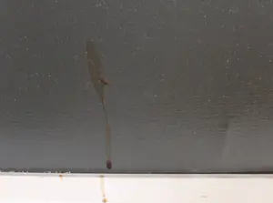 Ton Pape - Olieverf op doek, Compositie nr. 15 - Ingelijst (Groot) kopen? Bied vanaf 70!