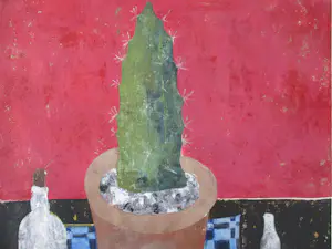 Betty Scheer - Cactus kaufen? Bieten Sie von 75!