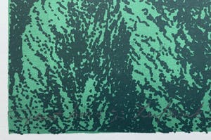 Geert Mols - kleurenzeefdruk - 'Wie zoekt den Dollen Dries' - 1973 kopen? Bied vanaf 70!