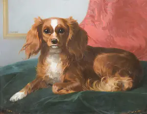 Conradijn Cunaeus - Olieverf op paneel, Cavaller King Charles Spaniël - Ingelijst kopen? Bied vanaf 200!