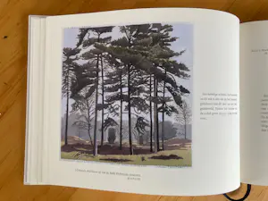 Siemen Dijkstra - Dwingelderveld In Transit kopen? Bied vanaf 45!