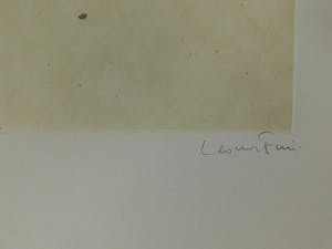 Leonor Fini - La Sorcière sur le Balai kopen? Bied vanaf 40!