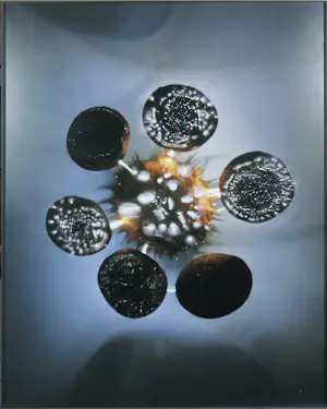 Paul den Hollander - 3 x Digitale print, Luminous Garden #103, #27 en #23 kopen? Bied vanaf 120!