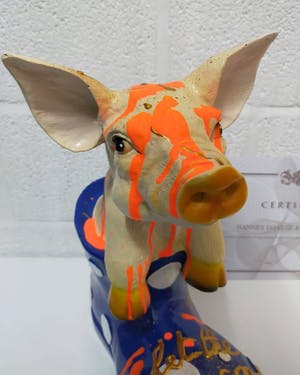 Hannes D'Haese - Varken kopen? Bied vanaf 150!