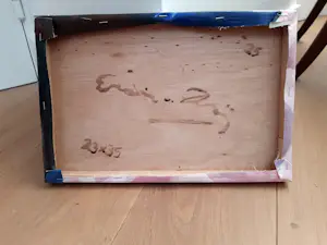 Erwin van Krey - Shoes kopen? Bied vanaf 250!