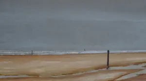 Franklin Meijer - Texel - Strand vuurtoren de Cocksdorp kopen? Bied vanaf 95!