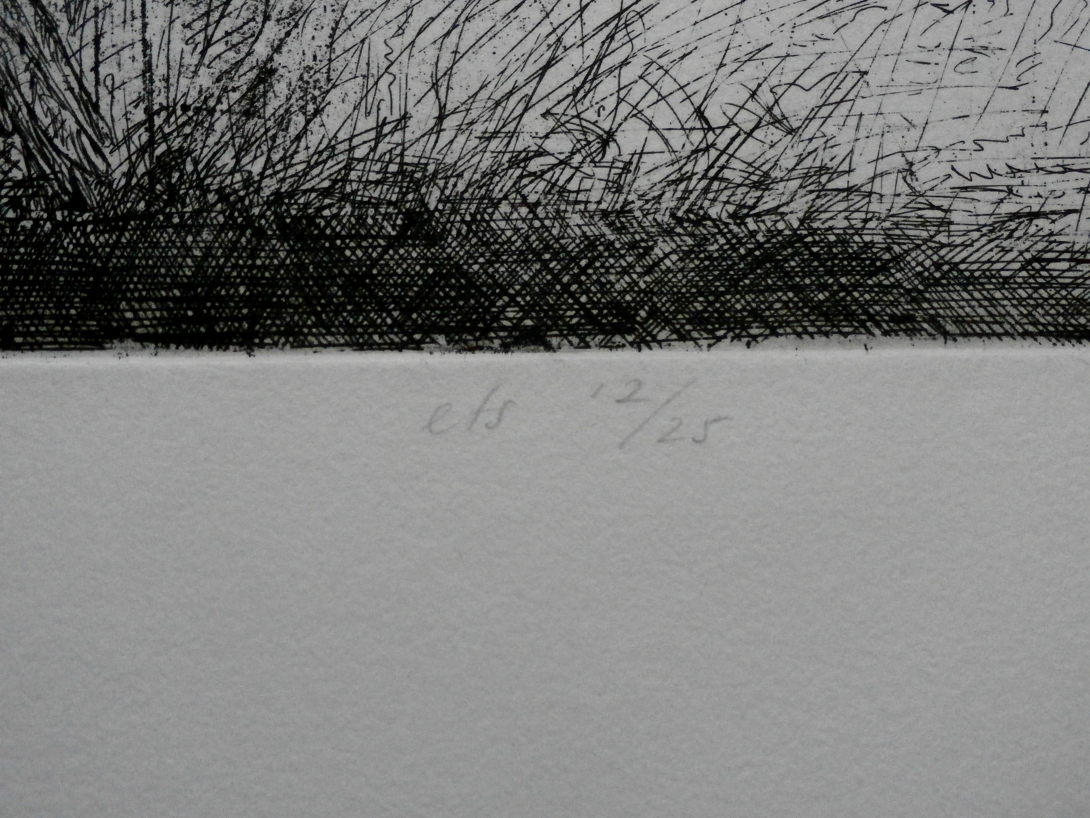 Kees Spermon - ets: zonder titel - 1982 kopen? Bied vanaf 45!