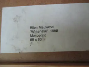 Ellen Meuwese - Monoprint "Waterlelie" in fraaie Barth lijst! kopen? Bied vanaf 1!