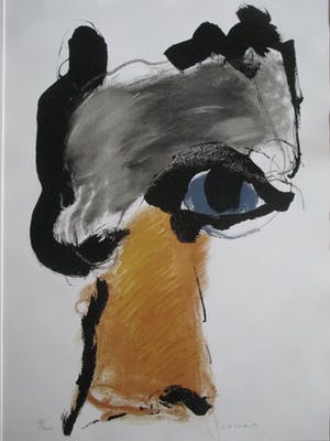 Henk van Vessem - Grote ingelijste litho kopen? Bied vanaf 60!