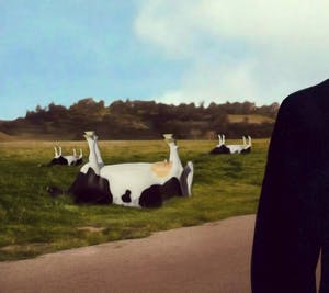 Mr. Strange - Attention aux vaches kopen? Bied vanaf 50!