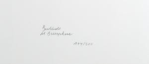 Berlinde De Bruyckere - Portfolio, En alles is aanéén-genaaid kopen? Bied vanaf 200!