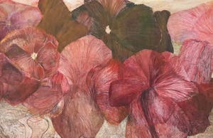 Marli Turion - Rode violen kopen? Bied vanaf 145!