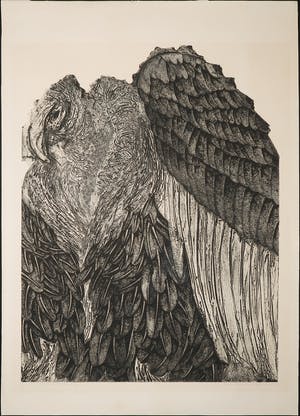 Anita Brus - Kartondruk/Collografie, Gier (Groot) kopen? Bied vanaf 1!