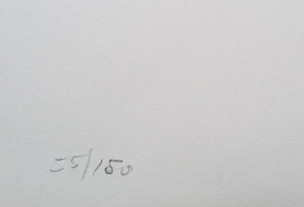 Pierre Tal-Coat - Vol d’oiseaux II, litho kopen? Bied vanaf 125!