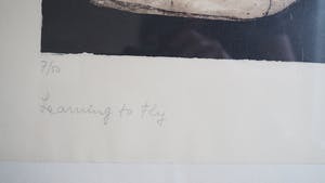 Cees Kortlang - Handgesigneerde kleurenets “Learning to fly” (1989) 7 /50 in metalen lijst kopen? Bied vanaf 75!