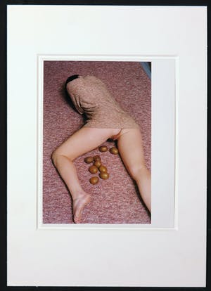 Ellen Mandemaker - Foto, Kiwi kopen? Bied vanaf 100!