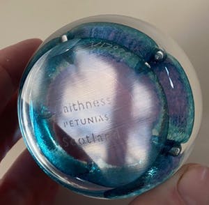 Niet of onleesbaar gesigneerd - Caithness Schotland - Glazen presse papier Petunias kopen? Bied vanaf 1!