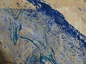 Niet of onleesbaar gesigneerd - Gemengde techniek , “Geitenschedels” – gesigneerd & ingelijst - 1992 kopen? Bied vanaf 10!