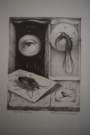 Hans van Dokkum - Compositie met oog, Kever en vogels kopen? Bied vanaf 40!