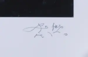 Strawalde - Giclée, Berlinerin kopen? Bied vanaf 20!