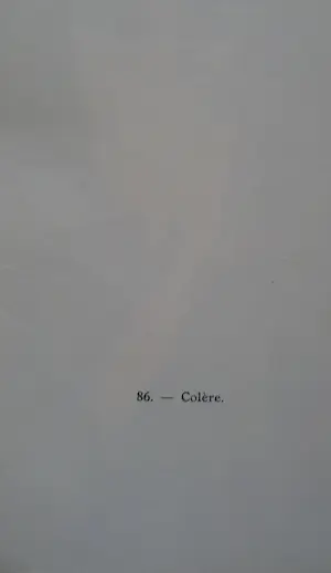 Kees van Dongen - 'Femme au Chien', Pochoir kopen? Bied vanaf 875!