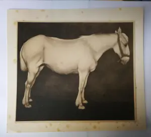 Jan Mankes - Heliogravure. Paard. kopen? Bied vanaf 1!