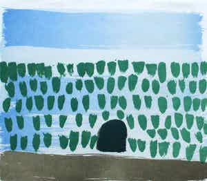 Klaas Gubbels - litho: de heg - 2007 (prachtige houten lijst) verkocht voor € 225!