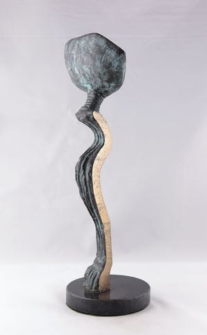 Desiree Tonnaer - Brons, Porteur de graines kopen? Bied vanaf 350!