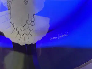 Nani Tedeschi - Kobalt blauw glazen jubileum bord - Ontwerp Nani Tedeschi voor Bormioli kopen? Bied vanaf 32!