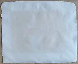 Jos van den Berg - "Freeport mine Papua" kopen? Bied vanaf 20!