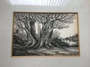 Niet of onleesbaar gesigneerd - Knotwilgen kopen? Bied vanaf 1!