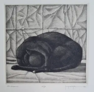 Joop Vegter - Slapende kat "niet storen svp" handgesigneerde mezzotint kaufen? Bieten Sie von 95!