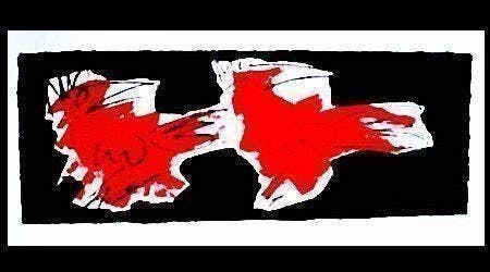 Frank Lengvenius - Kleurenzeefdruk VOGELS Handgesigneerd. kopen? Bied vanaf 45!