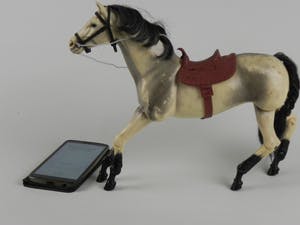 Curiosa - Levensecht modelpaard met alle beengewrichten kopen? Bied vanaf 1!