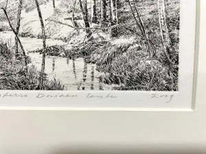 Han van Hagen - Duinen lente kopen? Bied vanaf 45!