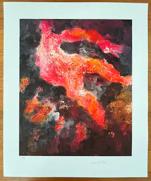 Armando - Kleurengiclée - gesigneerd en genummerd 22/30 kopen? Bied vanaf 120!