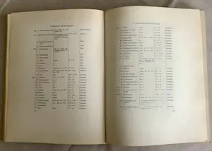 Jan Schonk - De Torentrans kopen? Bied vanaf 250!