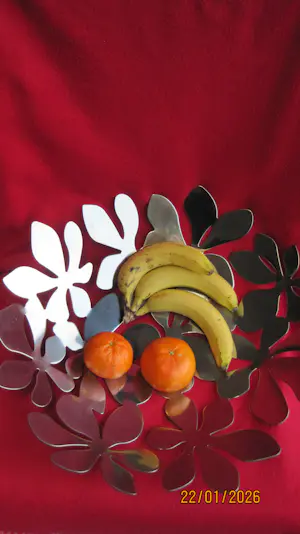 Monika Mulder - Fruitschaal Stockholm. kopen? Bied vanaf 30!