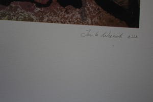 Jan te Wierik - zonder titel kopen? Bied vanaf 95!