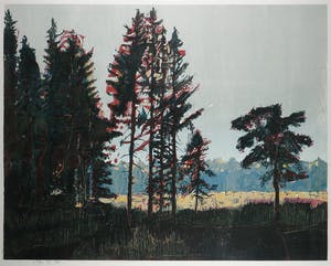 Vincent van Ojen - Houtsnede, Z.T. Bosgezicht met open plek - Ingelijst (Zeer groot) kopen? Bied vanaf 150!