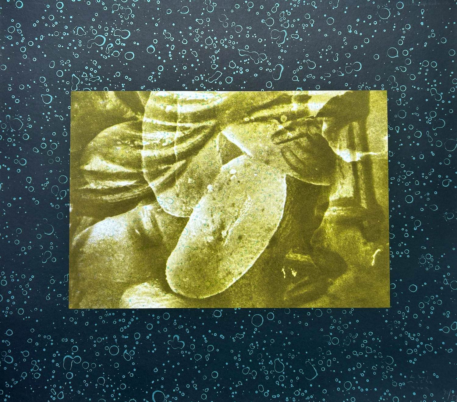 Titus Nolte - Zonder titel kopen? Bied vanaf 25!