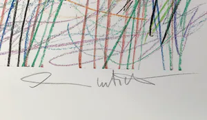 Hermann Nitsch - ohne Titel kopen? Bied vanaf 500!