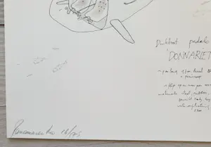 Panamarenko - Donnariet kopen? Bied vanaf 1195!