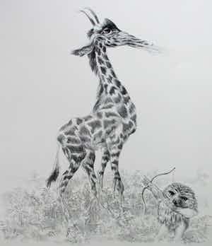 Peter Vos - Litho: De ontdekking van de giraffe verkocht voor € 150!