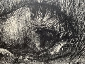 Kees Andrea - lithografie - 'Gewond paard' - 1949 kopen? Bied vanaf 75!