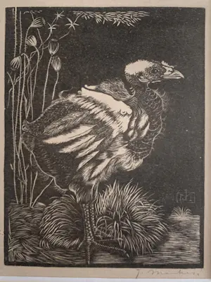 Jan Mankes - Jan Mankes, “Nestkuiken”, 1917 kopen? Bied vanaf 75!