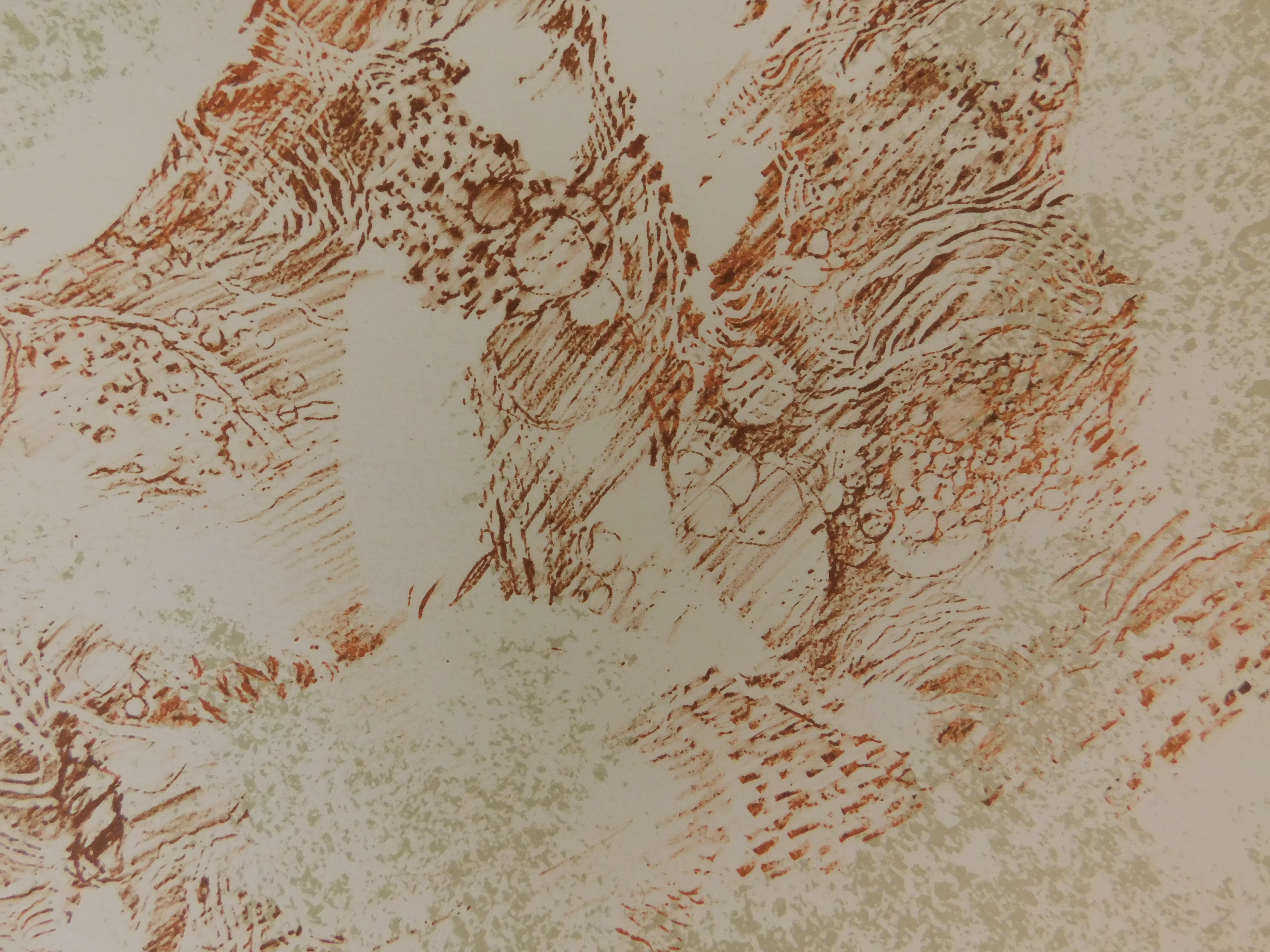 Dang Lebadang - Les Zèbres kopen? Bied vanaf 35!