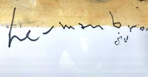 Herman Brood - EK 1988 kopen? Bied vanaf 375!