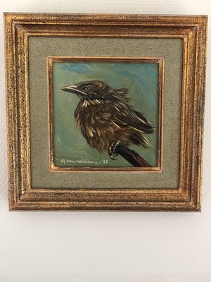 Alfons Van Meirvenne - Vogel kopen? Bied vanaf 300!